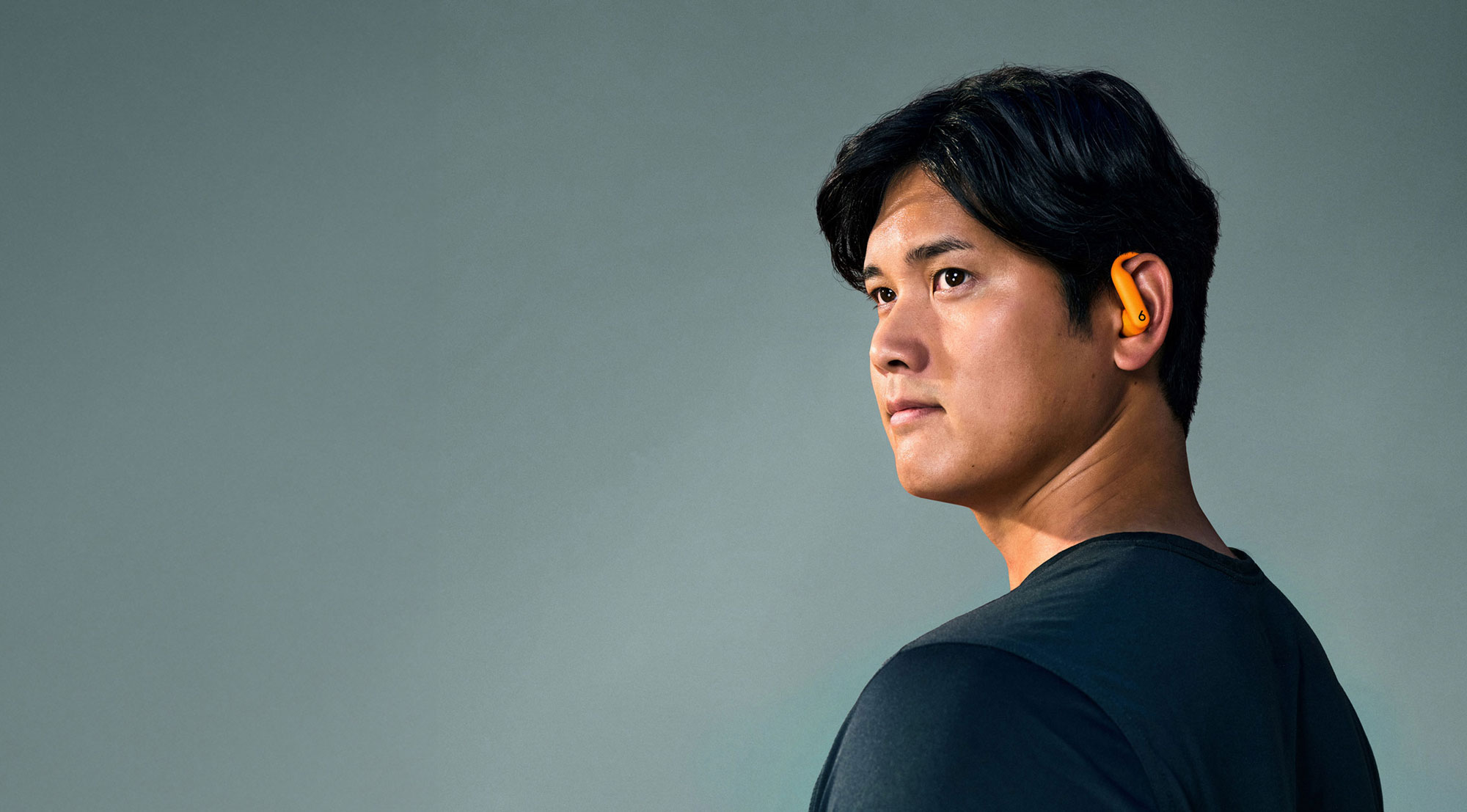 ※北斗神拳伝承者さん専用　Beats by DrDre スピーカー スピーカー 商品一覧｜ワンダーレックス公式通販サイト